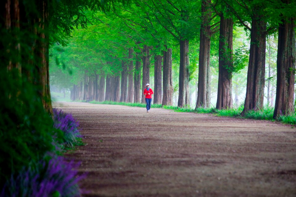 Park scenery walk