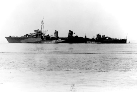 Free French destroyer Léopard on 6 June 1942