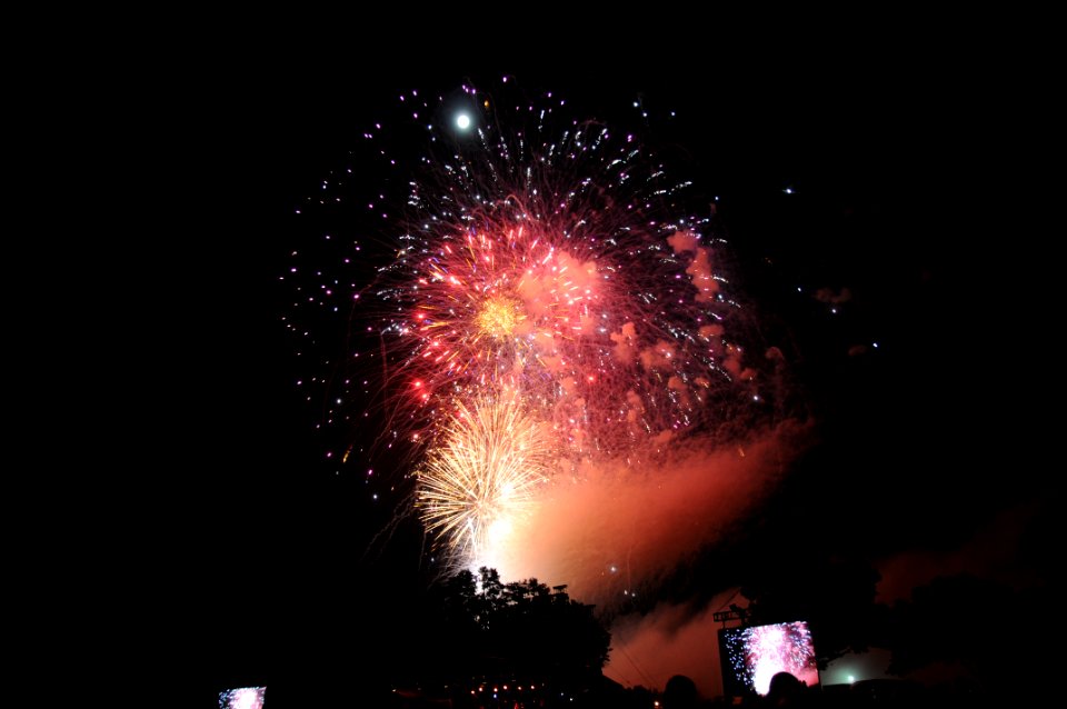 Freedom Fest brings fun, food, music to Fort Rucker (7825485702)