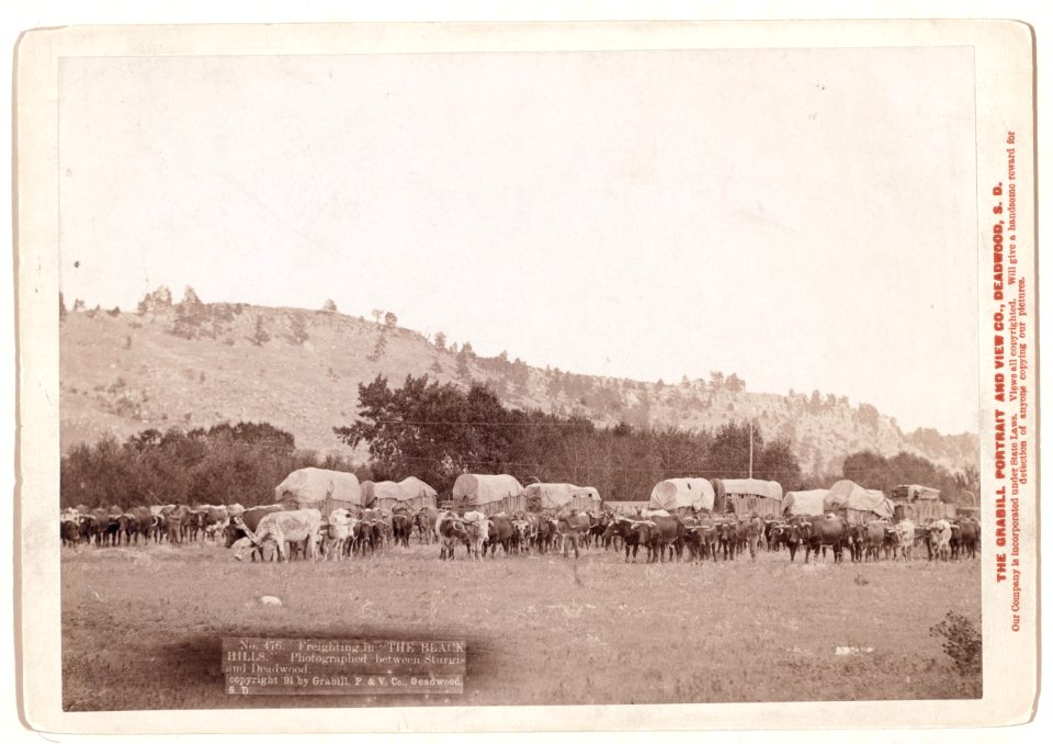Freighting in The Black Hills. Photographed between Sturgis and Deadwood LCCN99613789