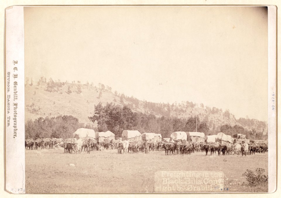 Freighting in the Black Hills LCCN99613787