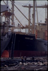 Freighters-at-the-columbia-river-mouth-about-to-take-on-a-cargo-of-logs-for-export-to-japan-051973 4272359624 o