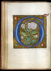 French - Leaf from Alphabet Book - Walters W20013V - Open Reverse
