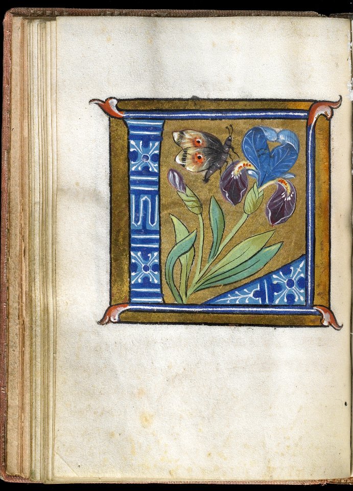 French - Leaf from Alphabet Book - Walters W20017V - Open Reverse
