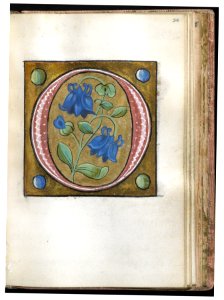 French - Leaf from Alphabet Book - Walters W20020R - Open Obverse