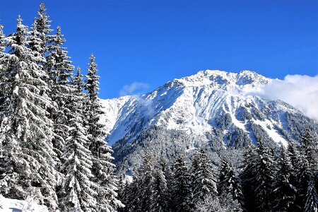 Mountains fresh snow pine photo