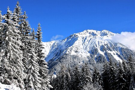 Mountains fresh snow pine