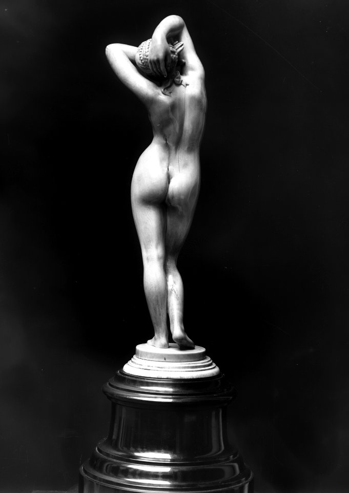 French - Phyrne - Walters 71368 - Back