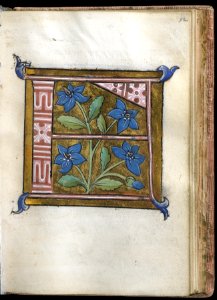 French - Leaf from Alphabet Book - Walters W20012R - Open Obverse