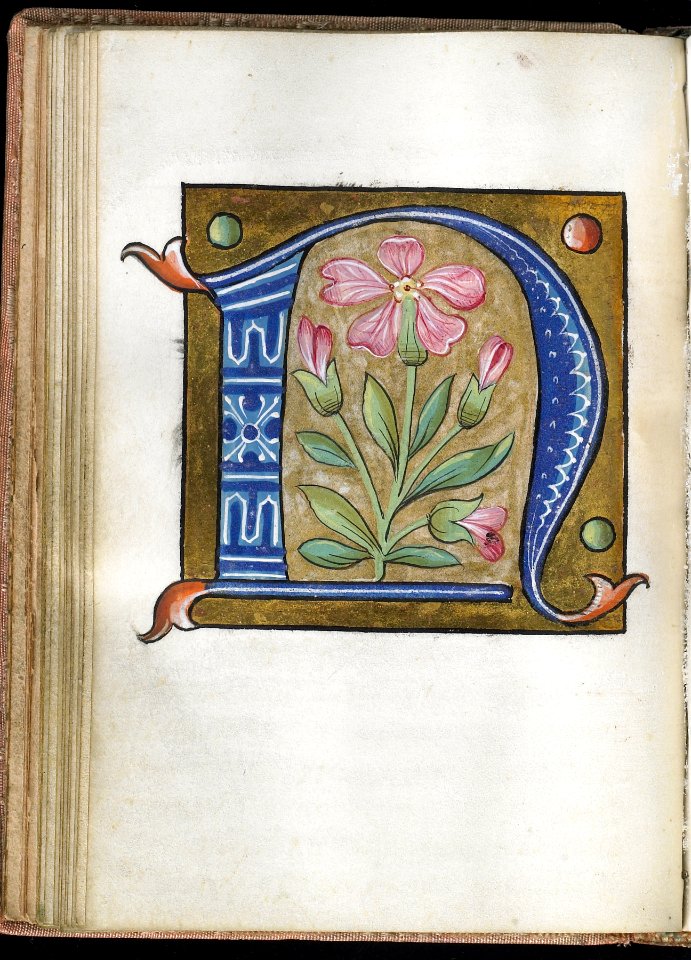 French - Leaf from Alphabet Book - Walters W20019V - Open Reverse