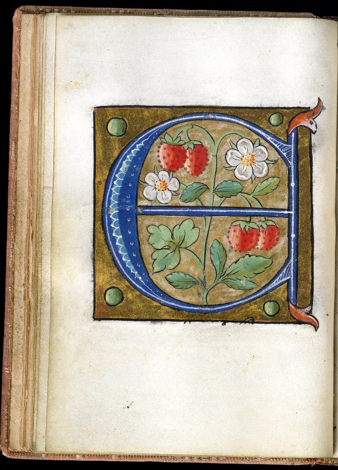 French - Leaf from Alphabet Book - Walters W20011V - Open Reverse