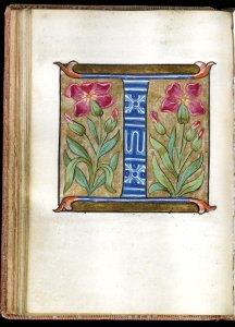 French - Leaf from Alphabet Book - Walters W20015V - Open Reverse