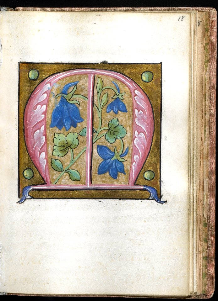 French - Leaf from Alphabet Book - Walters W20018R - Open Obverse
