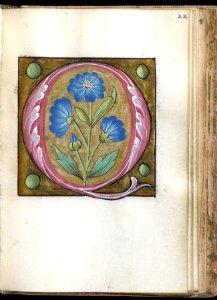 French - Leaf from Alphabet Book - Walters W20022R - Open Obverse