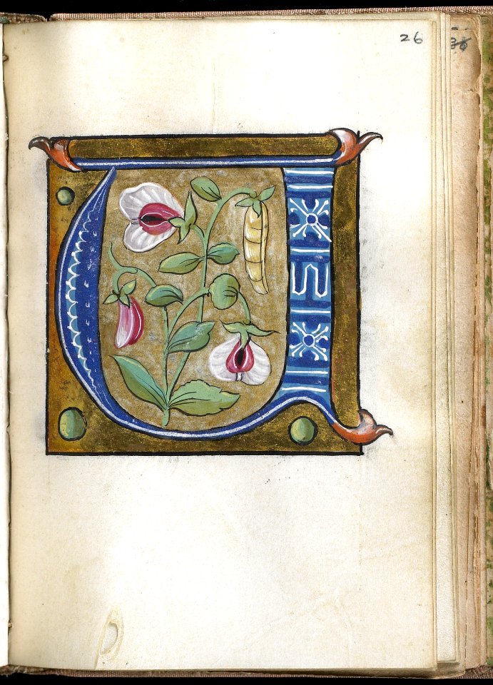 French - Leaf from Alphabet Book - Walters W20026R - Open Obverse