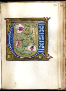 French - Leaf from Alphabet Book - Walters W20026R - Open Obverse