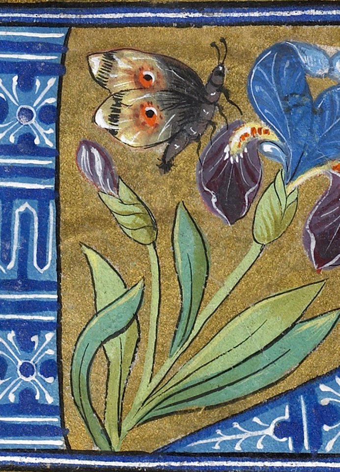 French - Leaf from Alphabet Book - Walters W20017V - Reverse Detail