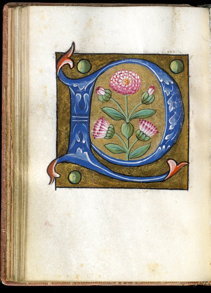 French - Leaf from Alphabet Book - Walters W20021V - Open Reverse
