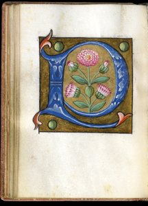 French - Leaf from Alphabet Book - Walters W20021V - Open Reverse