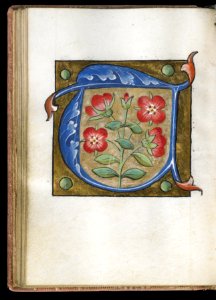 French - Leaf from Alphabet Book - Walters W20025V - Open Reverse