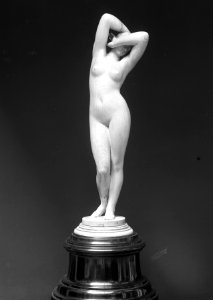 French - Phyrne - Walters 71368