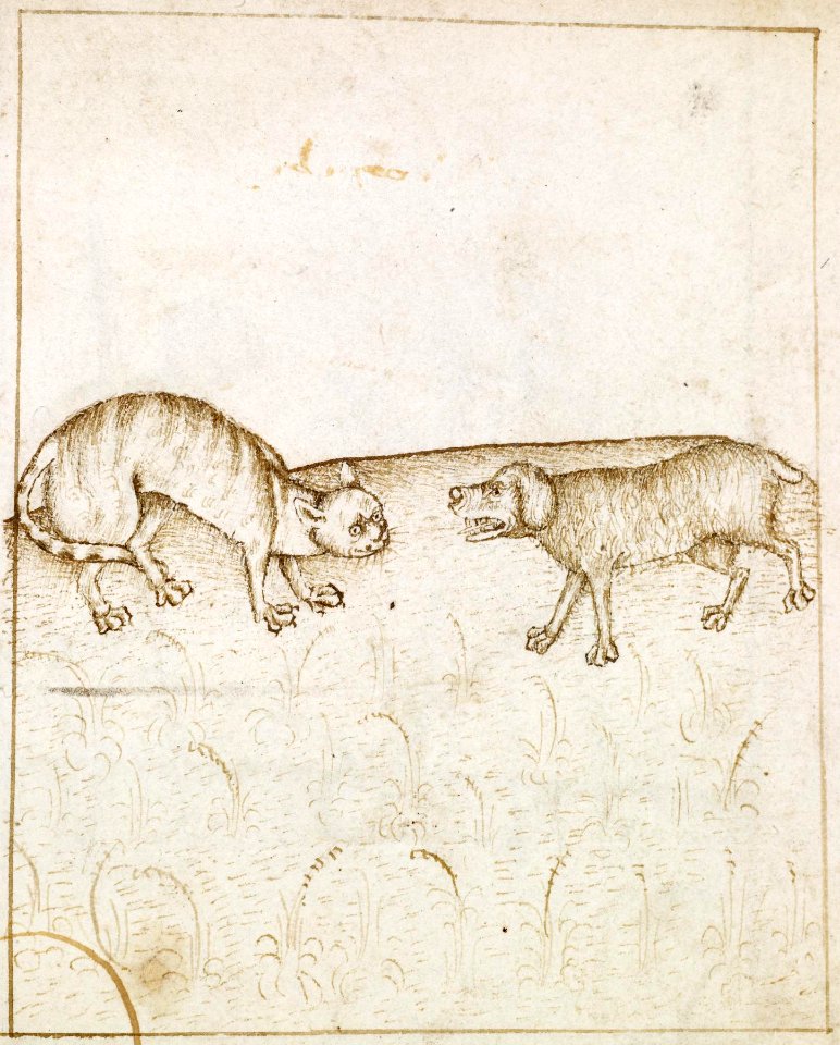 French - To Agree Like Cat and Dog - Walters W31330R - Detail A