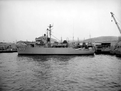 French minesweeper Vinh Long (M619) c1955 photo