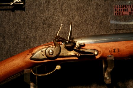 French Navy blunderbuss mg 8419