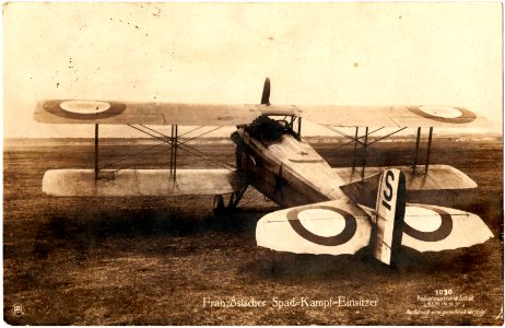 French Spad - photo