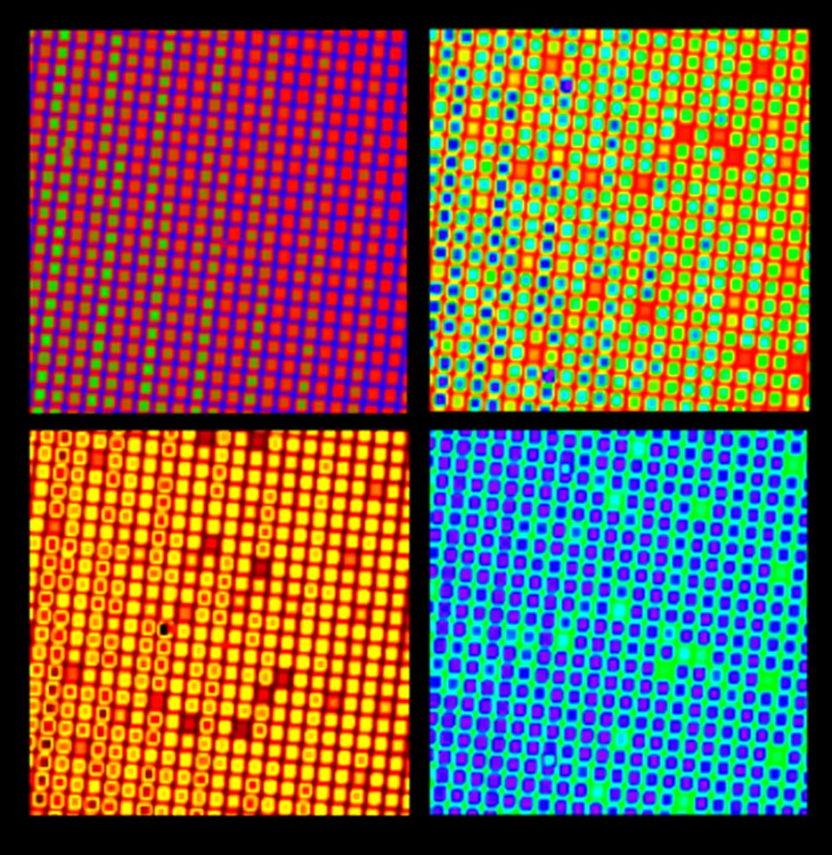 Frequency Brush (5941021620)