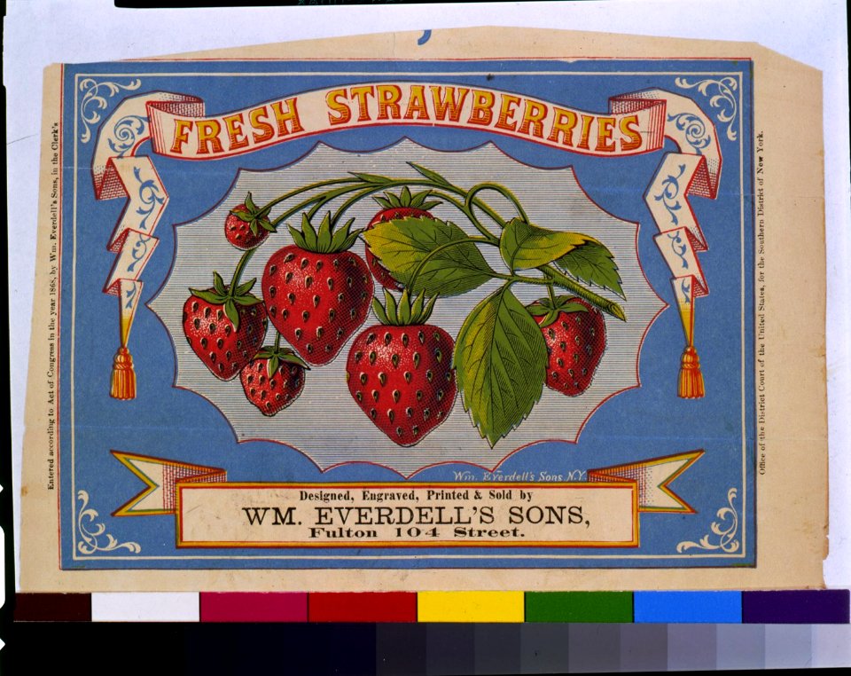 Fresh strawberries - Wm. Everdell's Sons, N.Y. LCCN93504445