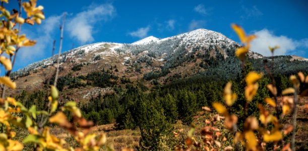 Fresh Snow on Elk Mountain