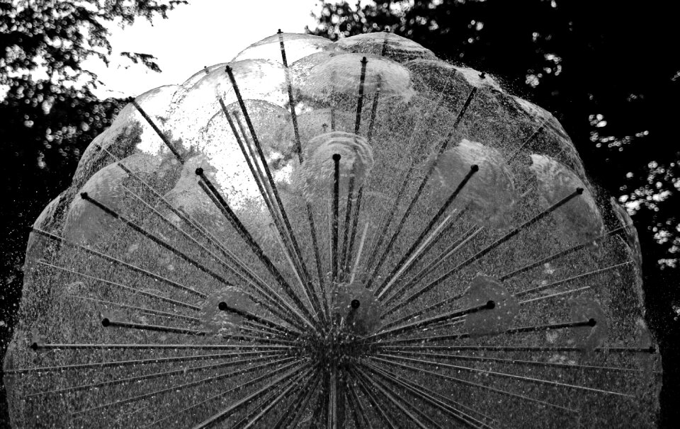 Feathers art design