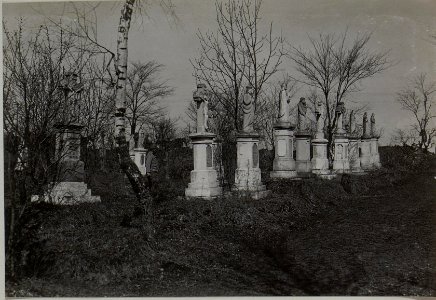 Friedhof in Jezierna (BildID 15441418)