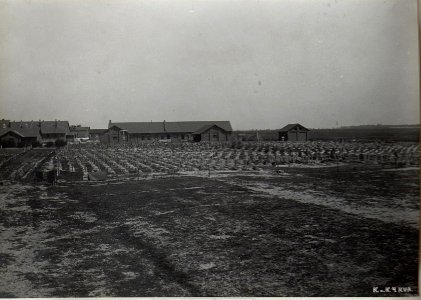 Friedhof (BildID 15694895)