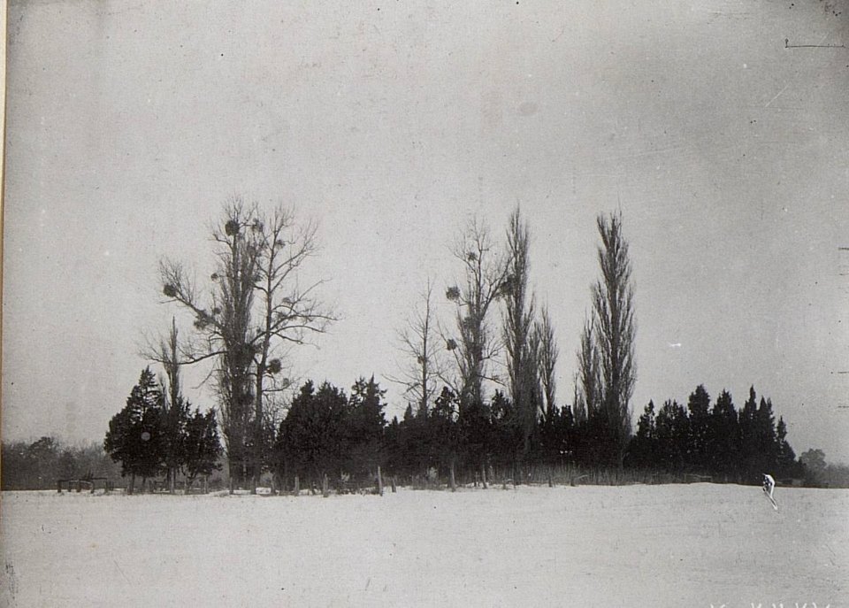 Friedhof in Gouszew (BildID 15695427)