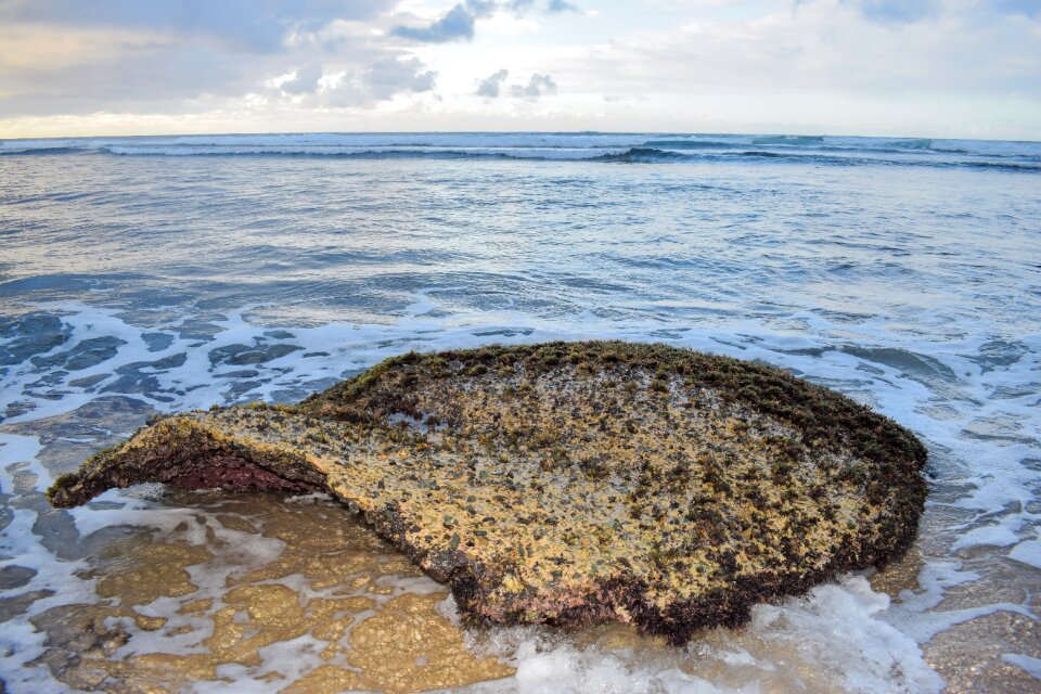 Nature seashore ocean