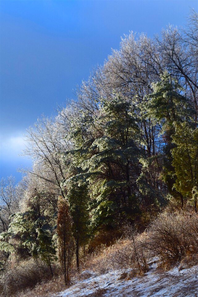 Landscape season snow