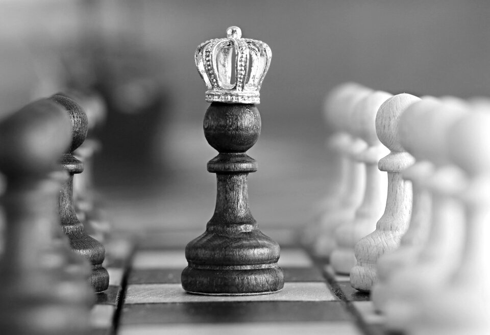 Black king gray king