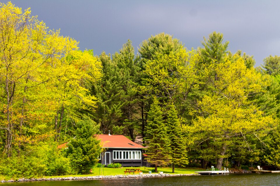 Season park landscape