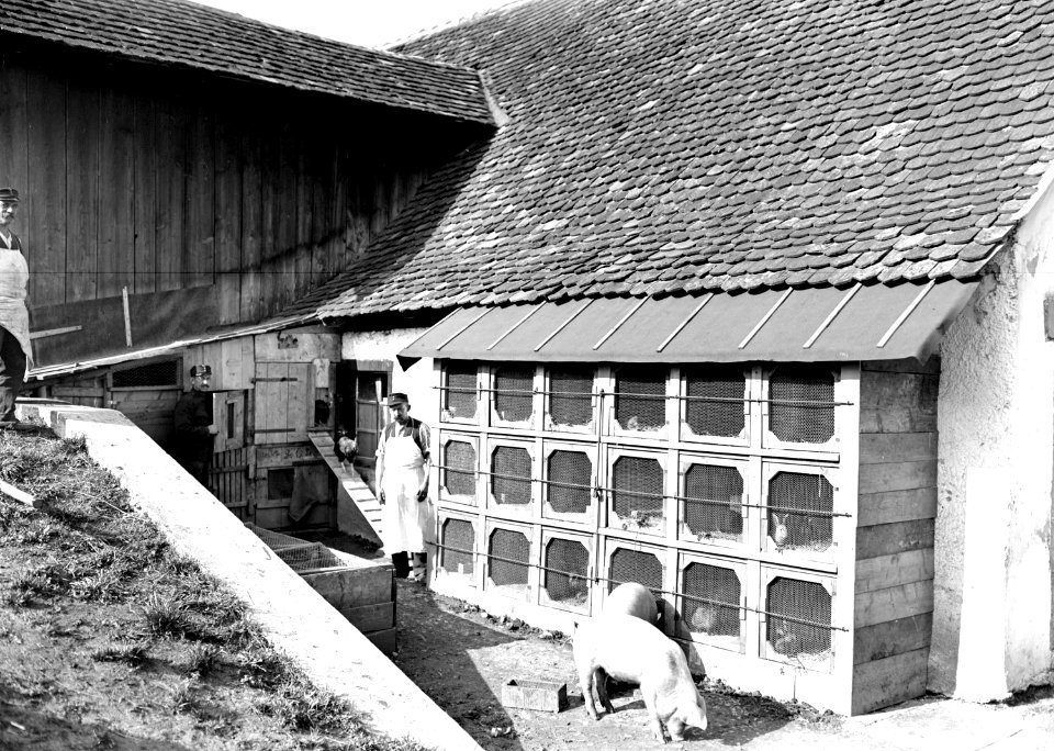 Frischfleischhaltung - CH-BAR - 3240119