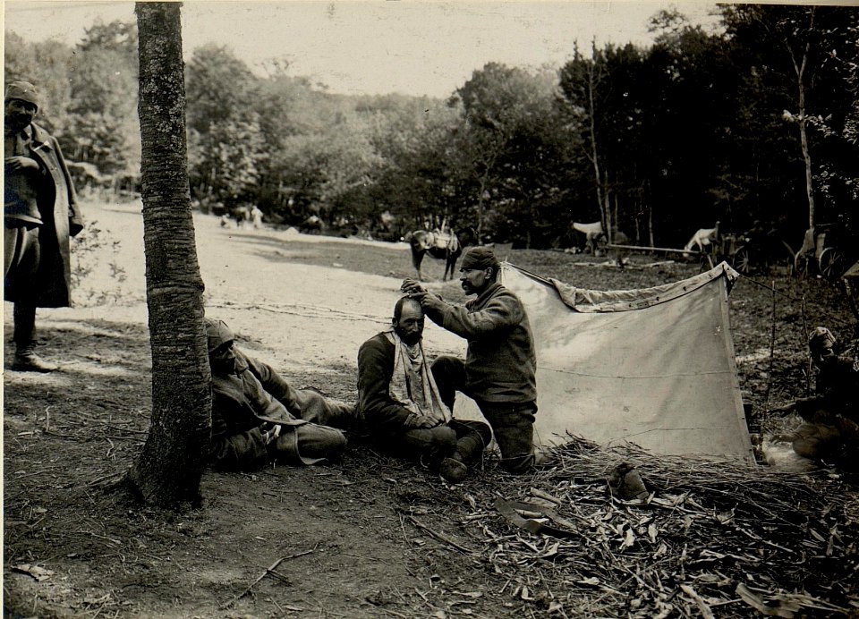 Friseur im Felde, Miesczegsow (BildID 15525573)