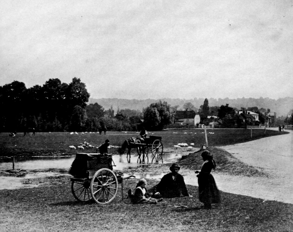 Frith, Francis - Cookham Sumpf, Berkshire (Zeno Fotografie)