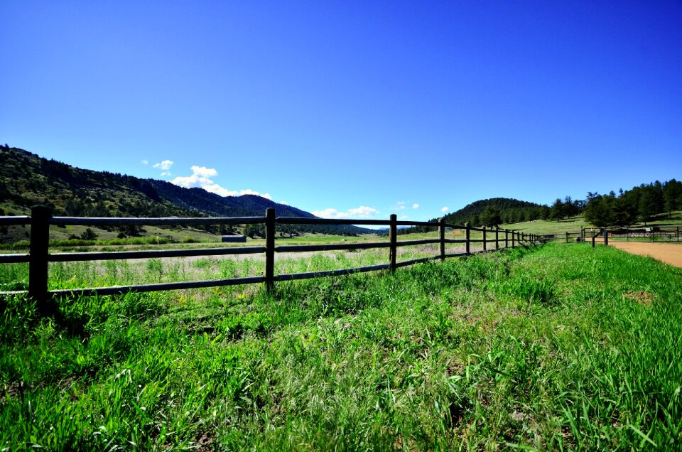 Field landscape blue