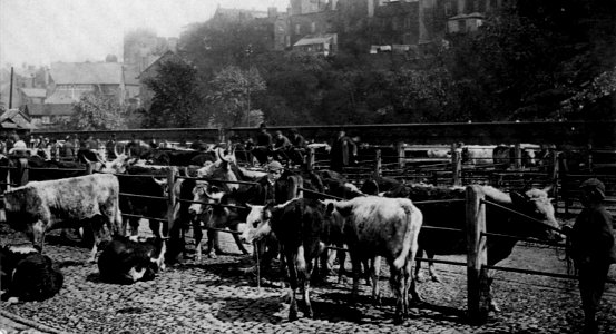 Frith, Francis - Shrewsbury, Rindermarkt (Zeno Fotografie)