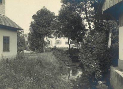 Fritz Wiesendanger Fotoalbum 33