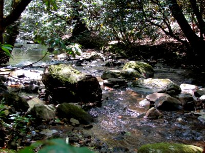 Frogtown Creek