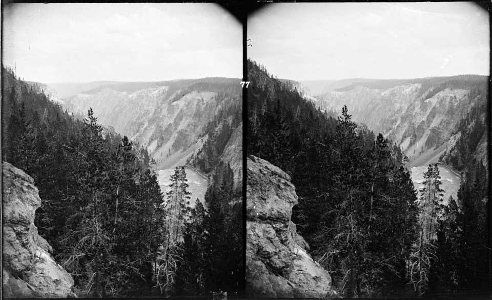 From brink of lower Falls. Yellowstone National Park - NARA - 517307
