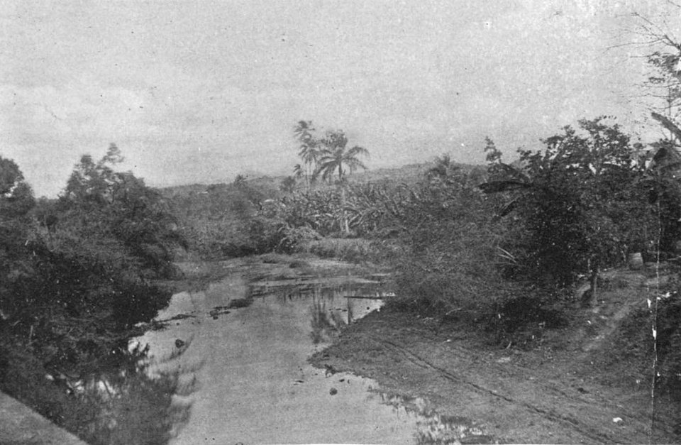 From Yauco to Las Marias 141