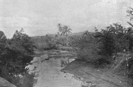 From Yauco to Las Marias 141